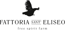 fattoria san’eliseo Logo